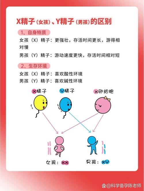 美女精英图片_美女精神_美女pk精子