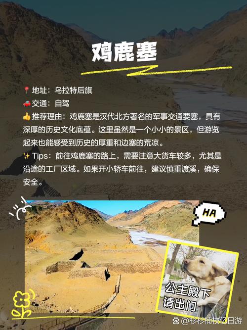 赛尔号赤西西比_赤西西比_西赤西赤是喀左卧虎沟吗