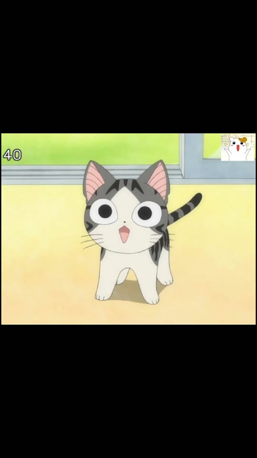 甜甜私房猫表情包_甜甜猫私房表情包图片_甜甜猫私房表情包gif