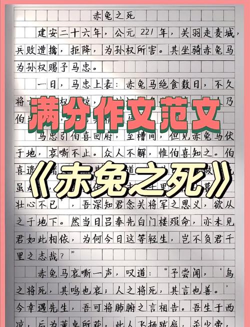 刀疤兔_刀疤兔_刀疤兔
