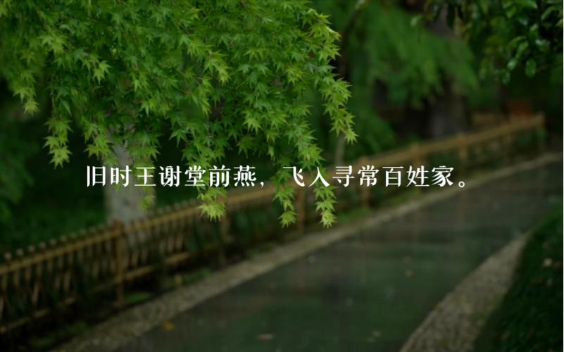 昔日王谢堂前燕_旧日王谢堂前燕_昔日王谢堂前燕......