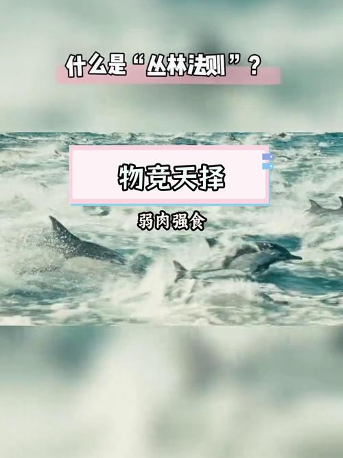 丛林鱼2_丛林中的鱼_丛林的鱼2演员表