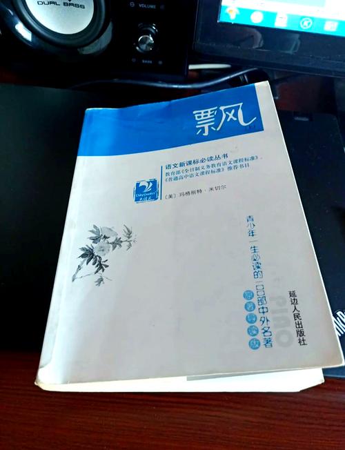 飘零叶子图片_飘零叶的意思_叶飘零txt
