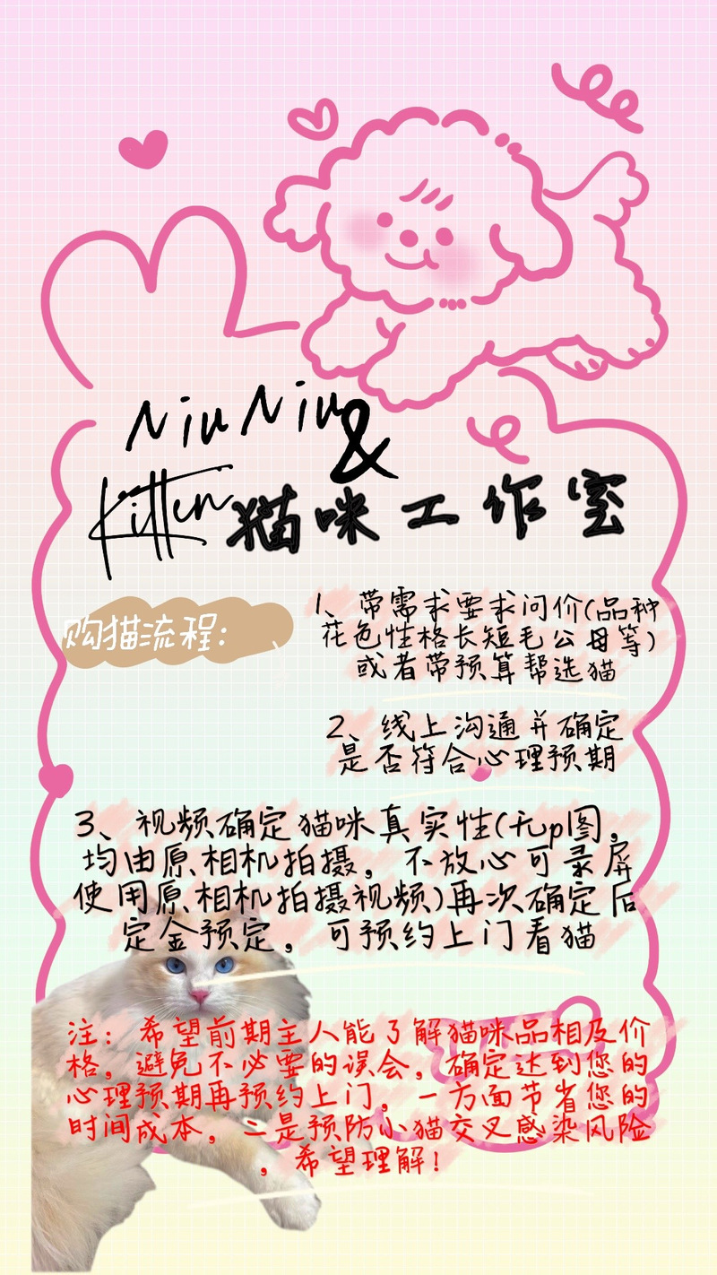 猫久久久久a_色久久爱久久色久久_久久猫