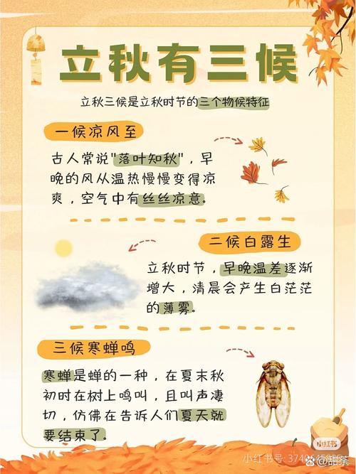 几点立秋_立秋是不是就凉快了_立秋是几月几日
