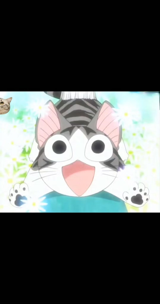 甜甜猫私房表情包图片_甜甜猫私房表情包gif_甜甜私房猫表情包