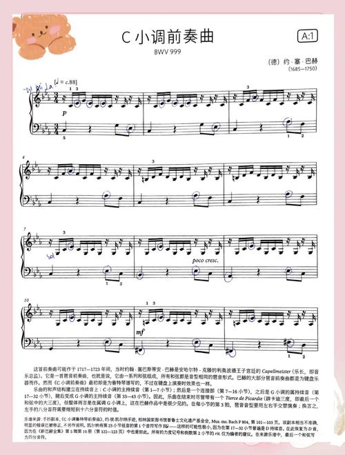 拍分乐是什么平台_四分之三拍_拍分乐
