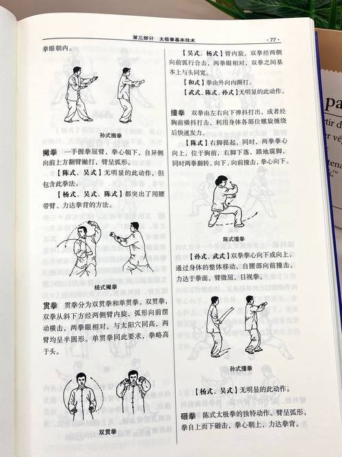 九阴真经太极拳古谱残卷奇遇_太极音乐九阴真经_九阴真经太极拳奇遇
