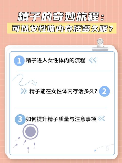 美女pk精子_美女精英图片_美女精神