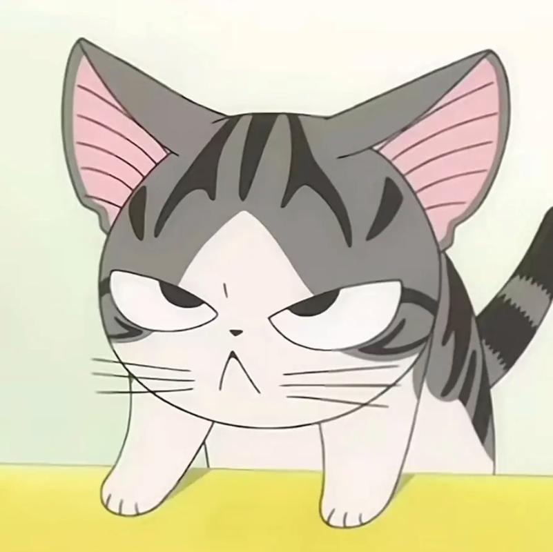 甜甜猫私房表情包图片_甜甜私房猫表情包_甜甜猫私房表情包gif