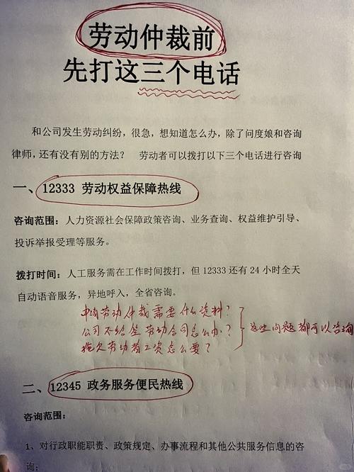 12333劳动保障网：连接劳动者与保障部门的实用信息桥梁