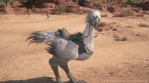 ff14陆行鸟_陆行鸟礼物站_陆行鸟肌腱哪里掉