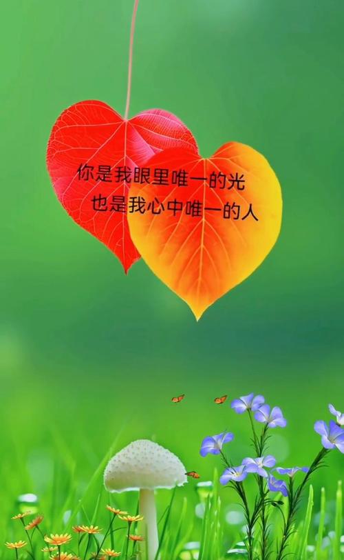 拥抱微笑知道歌名_拥抱你的微笑歌词_拥抱你的微笑歌词是什么意思