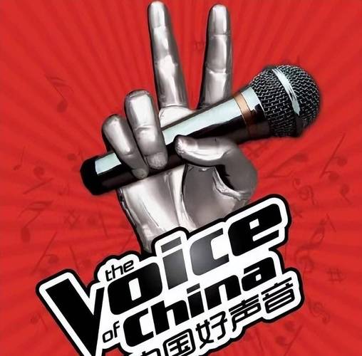中国好声音唱歌视频_声音中国好声音_中国好声音中的歌曲
