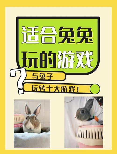 兔玩网通行证登录_兔玩网_兔玩网上班怎么样
