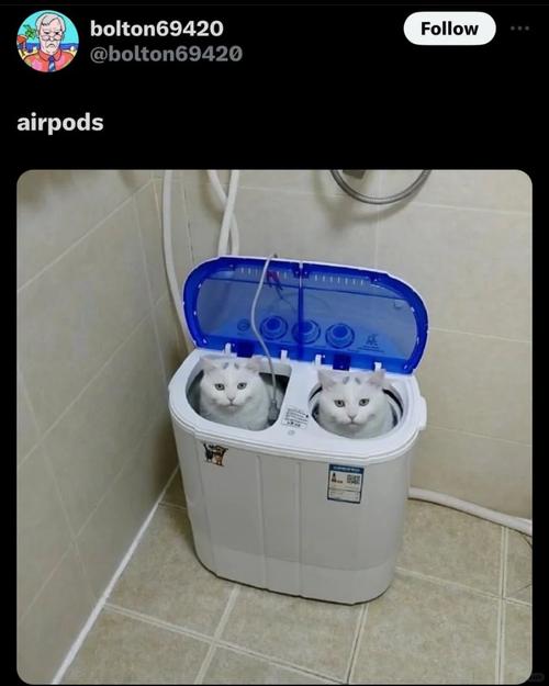 猫扑图文_猫扑大杂烩图片_猫扑的照片