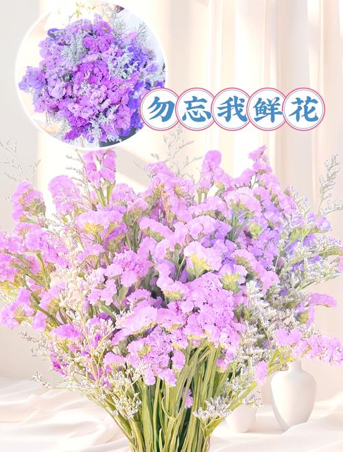 勿忘我 存档_勿忘我存档位置_勿忘我游戏存档
