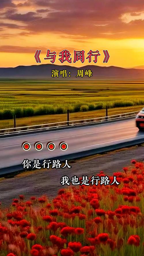过马路战歌歌词_过马路战歌_中国式过马路评论