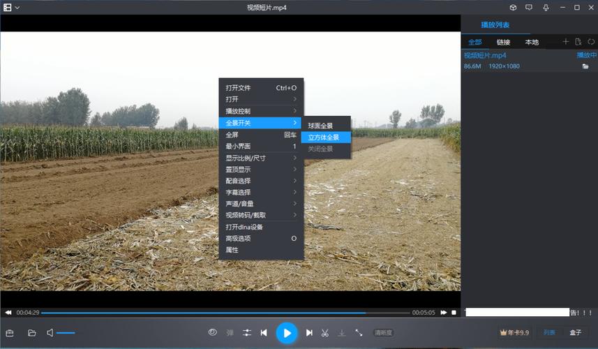 暴风影音2013：视频播放顶尖产品，功能强大资源丰富
