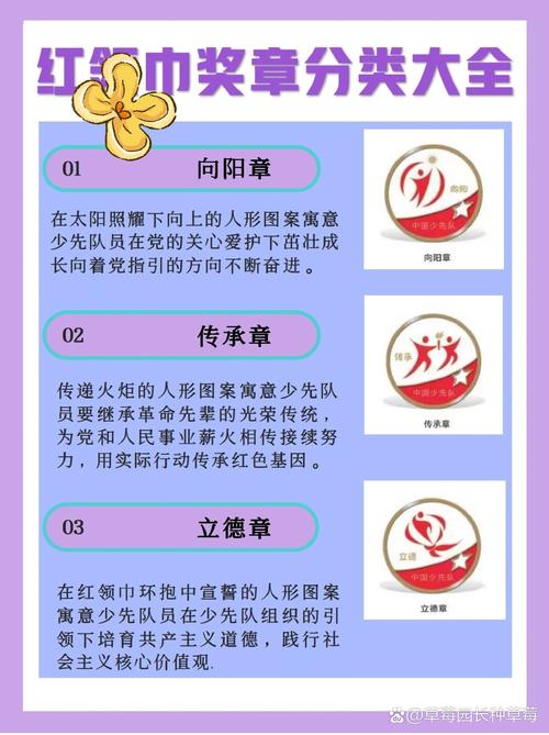 候选人标志的意义：责任、光荣与追求，你了解多少？
