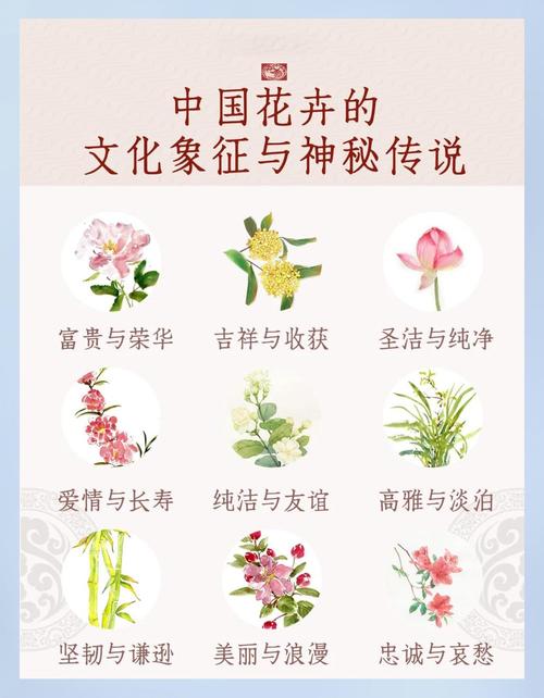 花景生_花景生_花景生