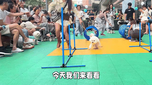 糗百图片：记录生活尴尬欢乐，蕴藏巧思诙谐的宝藏
