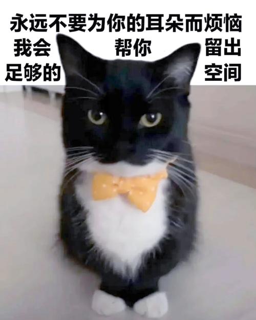 qq趣图_男女思维差异对比趣图_趣图ai老版本