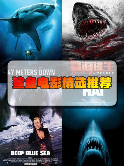 深海狌鲨_深海鲨鱼现场什么样_深海狂鲨有几部