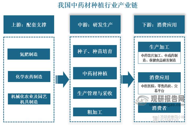 重楼链_重楼链_重楼链