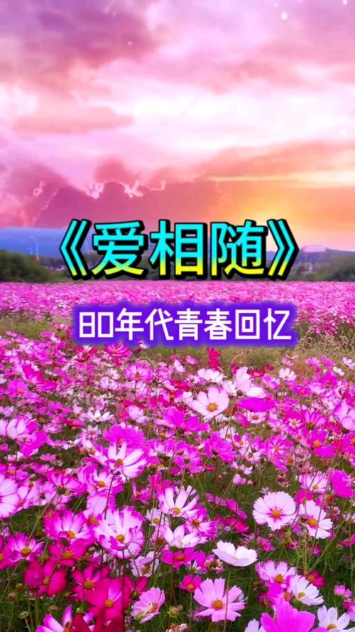 两个人爱着MP3：承载青春爱情向往，陪伴无数难忘时刻