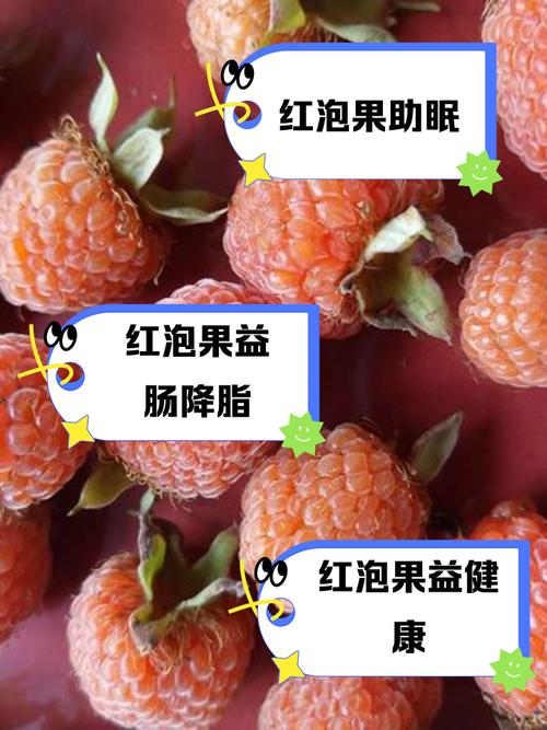 泡泡果实能力介绍_泡泡果实生苗几年结果_泡泡果实