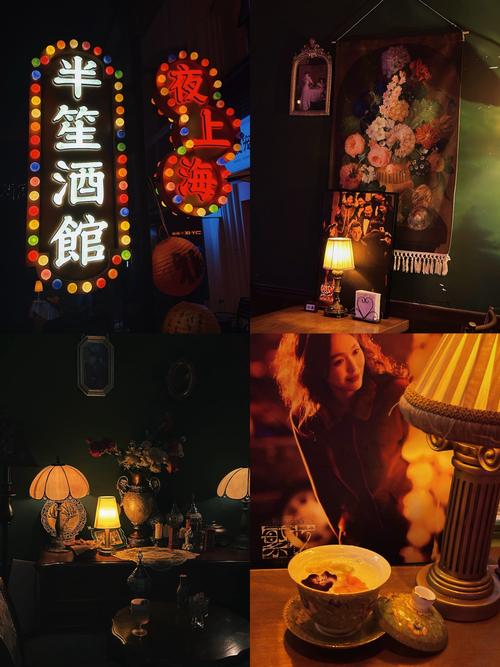 骑士幻想夜txt_上海夜会_夜上海txt