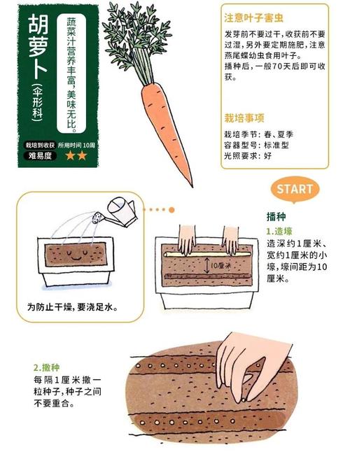 摩尔庄园胡萝卜多久成熟_摩尔庄园胡萝卜可以做什么菜_摩尔庄园 胡萝卜