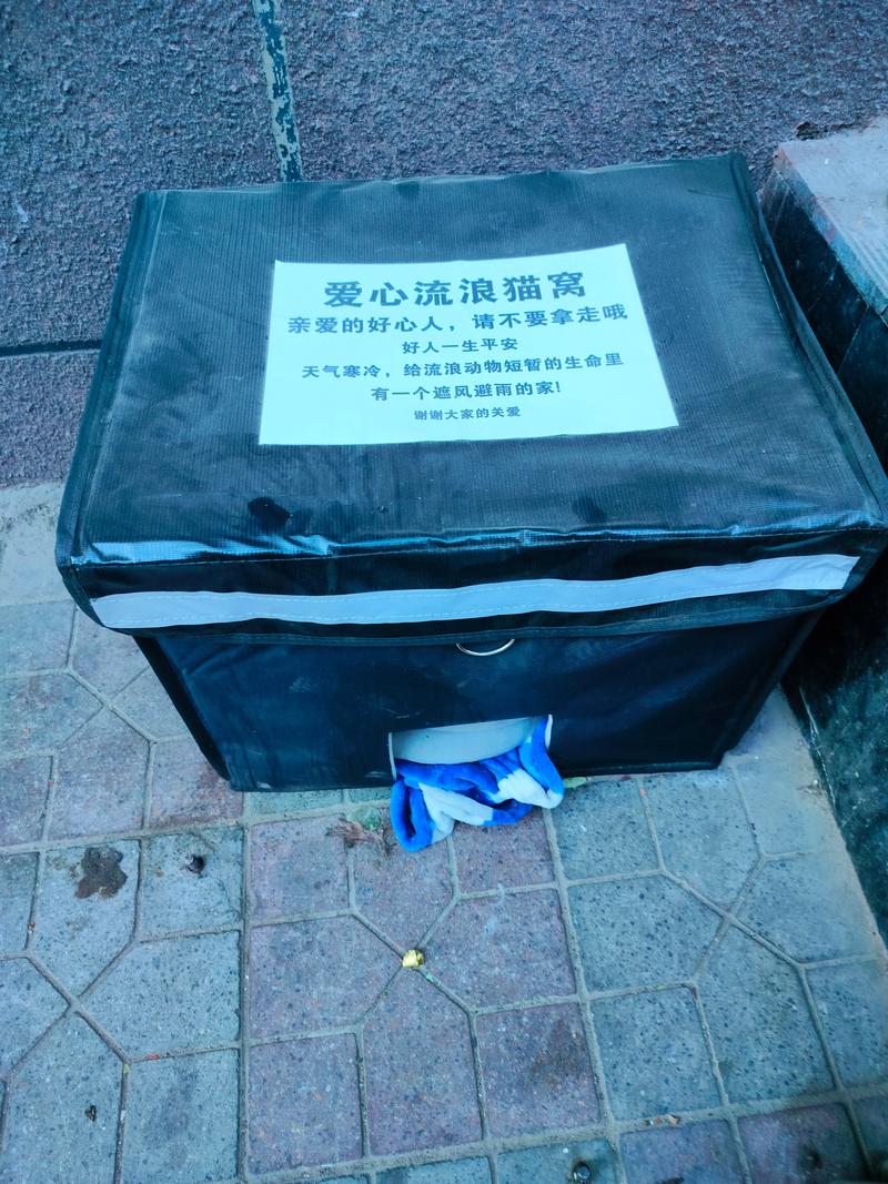 猫侠直播是正规平台吗_猫侠直播是个什么软件_中国猫侠
