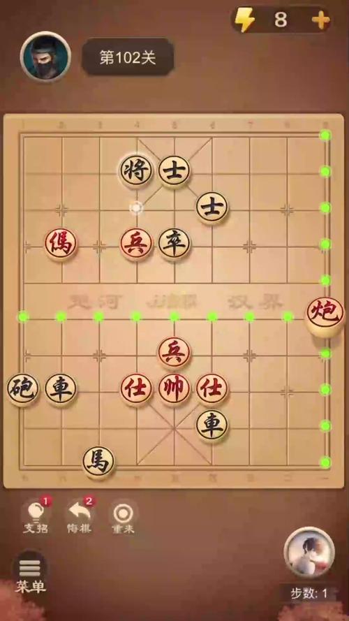 chessboardpoj_chessboard_chessboardoj