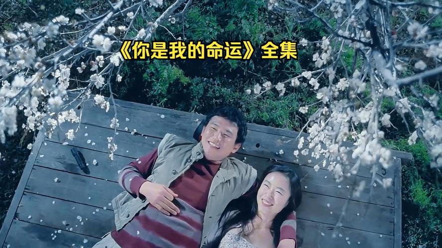 你是我的命运中文版受关注，情感共鸣强烈，剧情引追看