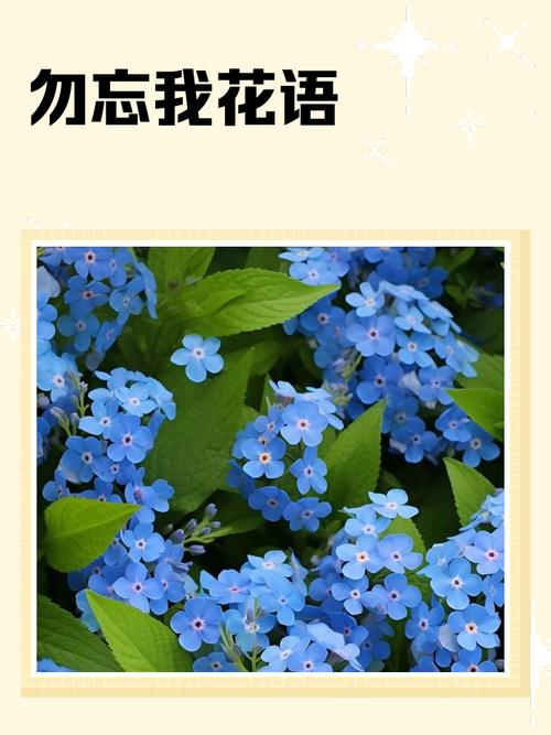 勿忘我游戏存档_勿忘我 存档_勿忘我存档位置