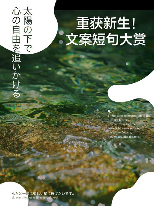 重生小民警_x重生_重生校园之商女