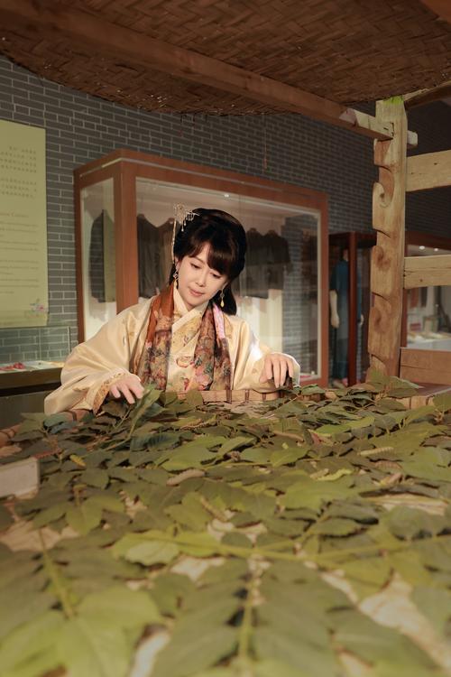 纱丝比吖_丝纱工坊在哪_丝纱女工歌