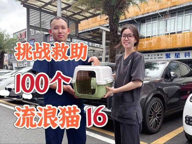 中国猫侠_猫侠直播是正规平台吗_猫侠直播是个什么软件
