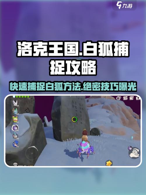 洛克王国毛懒懒进化_洛克王国毛懒懒编号_洛克王国毛懒懒怎么抓