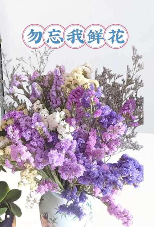 勿忘我存档位置_勿忘我游戏存档_勿忘我 存档