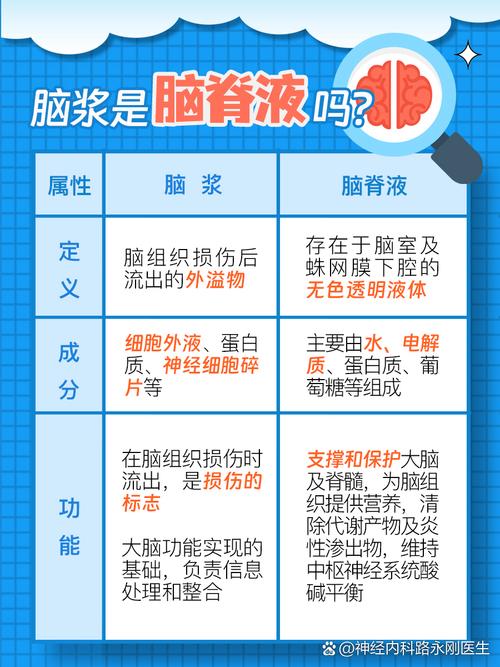 脑浆 脑浆对人类生命活动不可或缺！大脑内部物质及作用你了解吗？