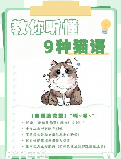 喵翻.阅读_galgame翻译器喵翻_喵翻
