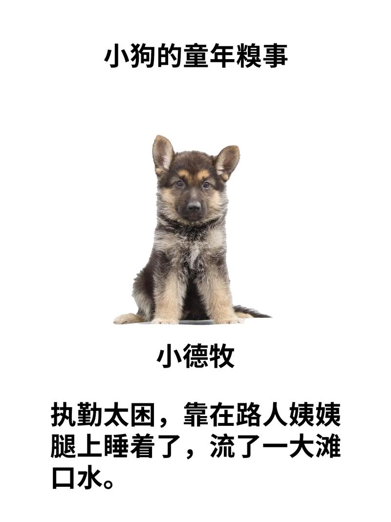 糗百图片_糗百图片_糗百图片