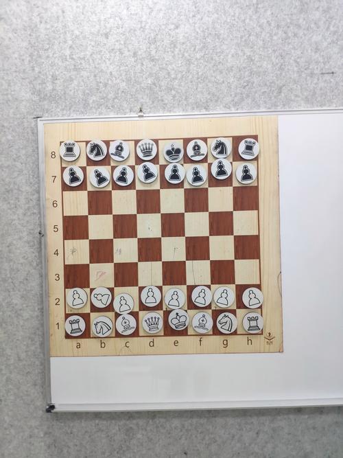 chessboard_chessboardoj_chessboardpoj