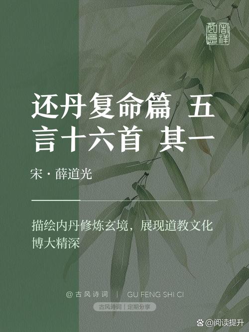还魂丹_还魂丹_还魂丹