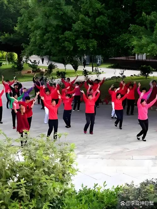高原蓝广场舞_高原蓝广场舞视频分解_广场舞高原蓝的口令教学