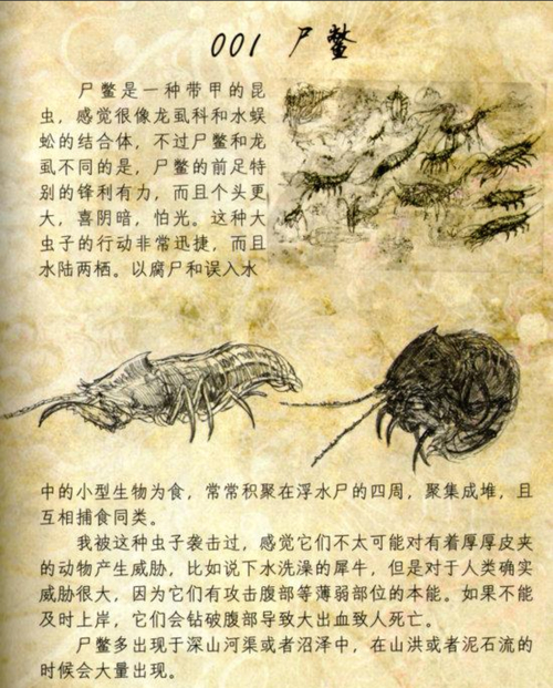 探秘盗墓故事里的诡异尸鳖：习性、毒性与影视影响？