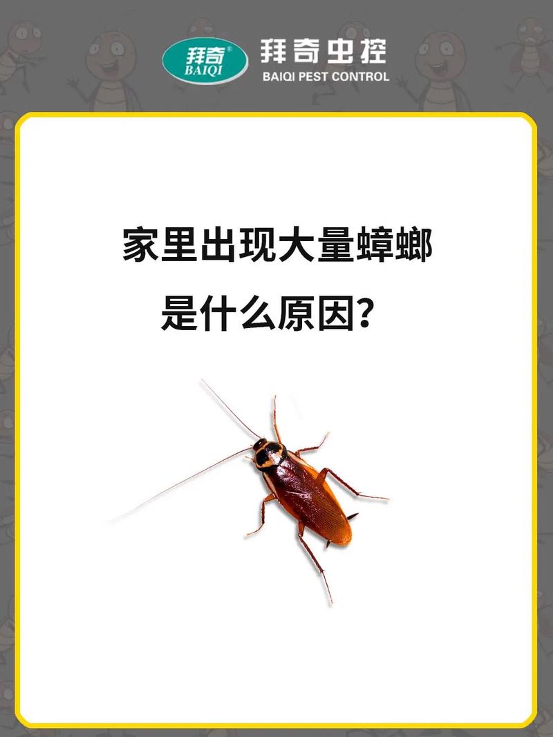 意思意思是什么_曱甴什么意思_哂意的意思